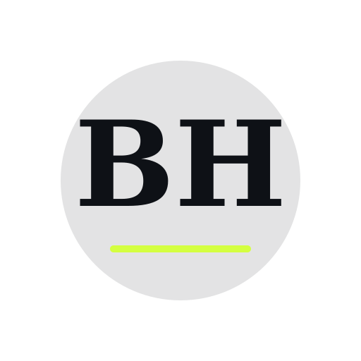 Baxter Hollow Chimney Service logo